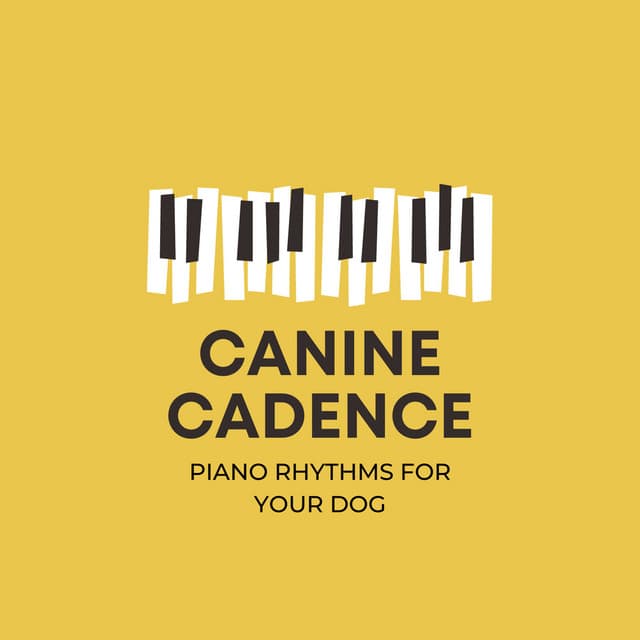 Canine Cadence: Piano Rhythms for Your Dog - Dog Music