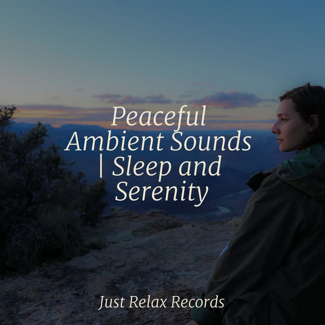 Peaceful Ambient Sounds | Sleep and Serenity - Lounge relax