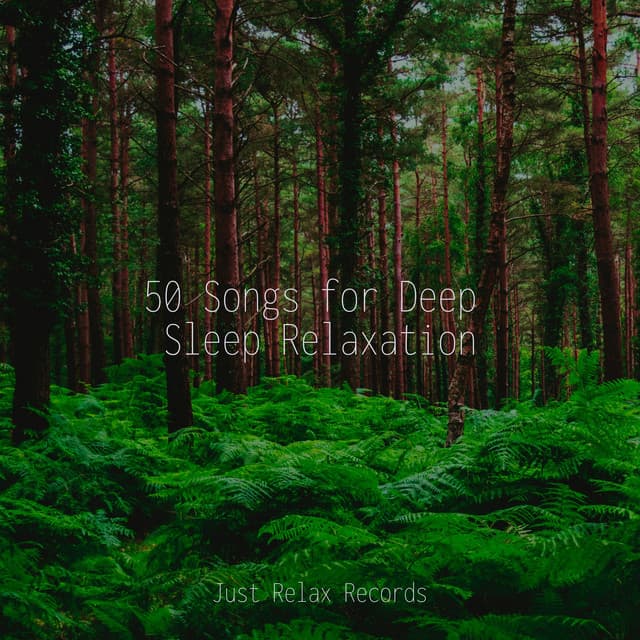 50 Songs for Deep Sleep Relaxation - Meditation Spa