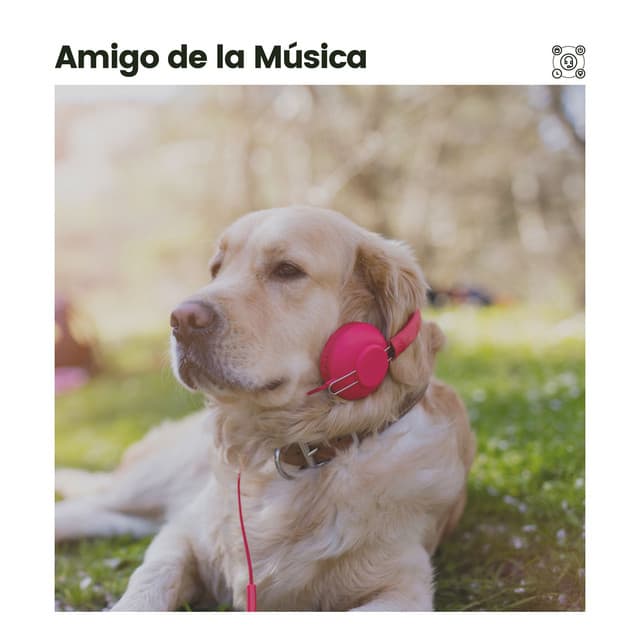 Amigo de la Música - Biblioteca de Música Para Mascotas