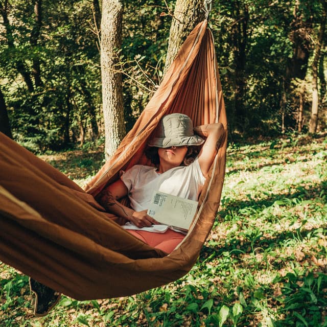 Pure Chill: Essential Lofi - LoFi HipHop Guru