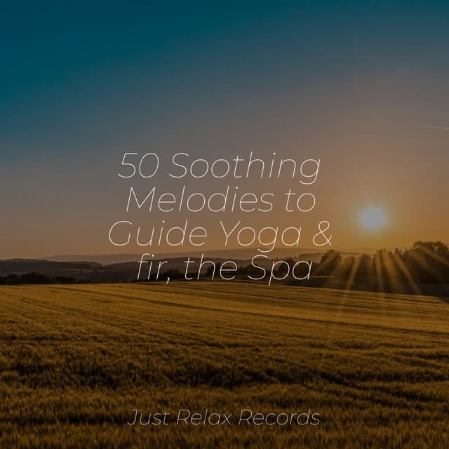 50 Soothing Melodies to Guide Yoga & fir, the Spa - Deep Sleep Relaxation