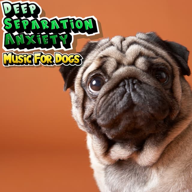 Calming Music For Dogs & Puppies With Anxiety - Deep Separation Anxiety Music For Dogs