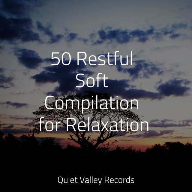 50 Restful Soft Compilation for Relaxation - Tailormade Ocean Waves