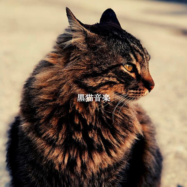 黒猫音楽 - Musica para Dormir Jazz