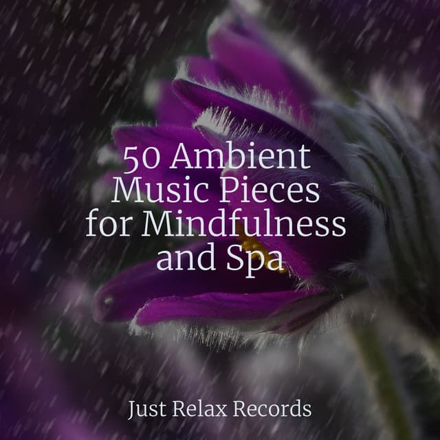 50 Ambient Music Pieces for Mindfulness and Spa - Bedtime Lullabies
