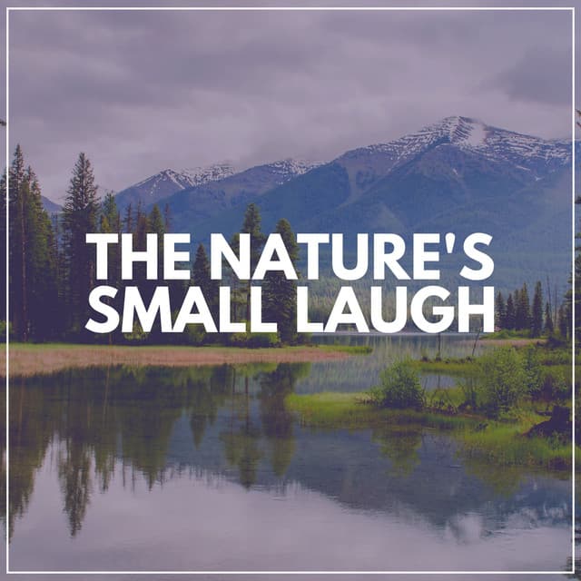 The Nature's Small Laugh - Sounds of Nature Noise