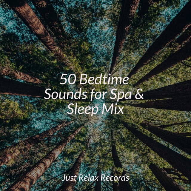 50 Bedtime Sounds for Spa & Sleep Mix - Dormir