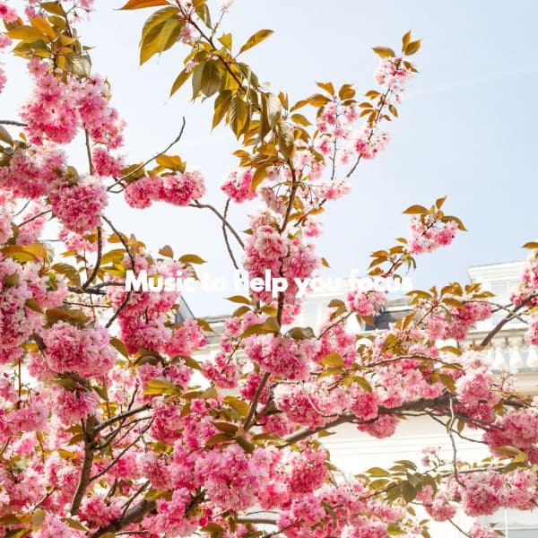 Music to help you focus - Cooking Background Music