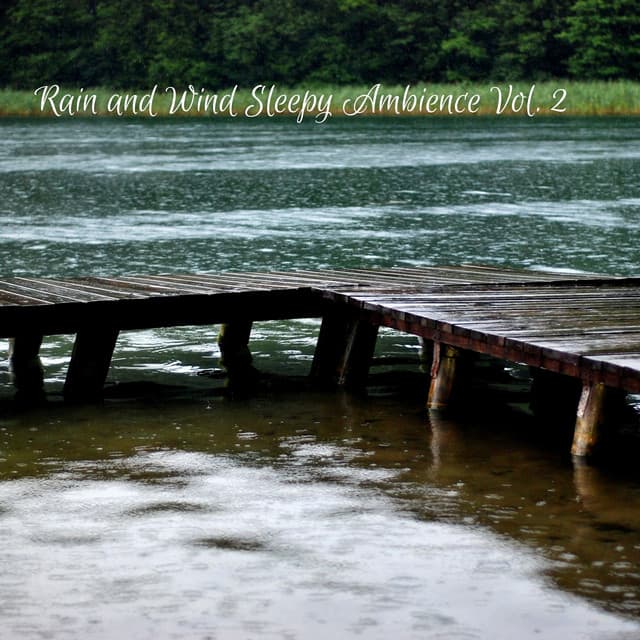 Rain and Wind Sleepy Ambience Vol. 2 - Sleep Music Guys