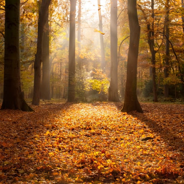 Hip Hop Music For Creative Minds And Artistic Expression - Lo-Fi Reggae Beats