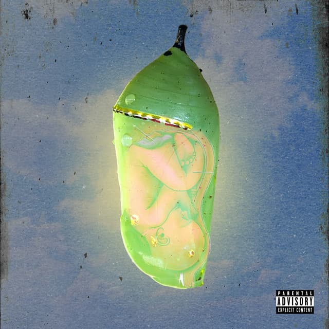 Progressions - Omni Alien