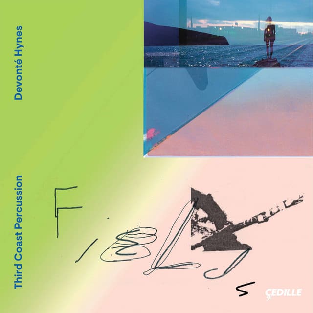 Fields - Devonté Hynes