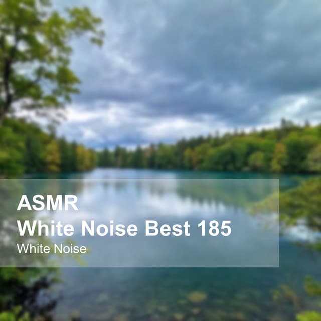 White Noise ASMR Best 185 - White Noise