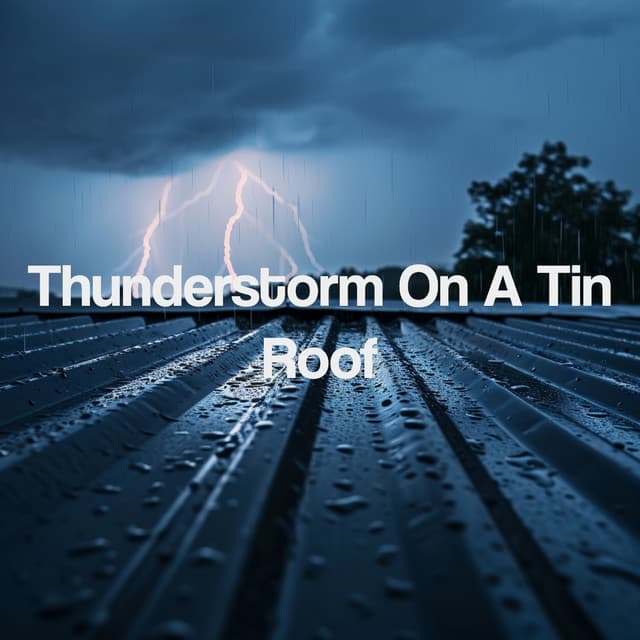 Thunderstorm On A Tin Roof - Thunderstorm Sound Bank