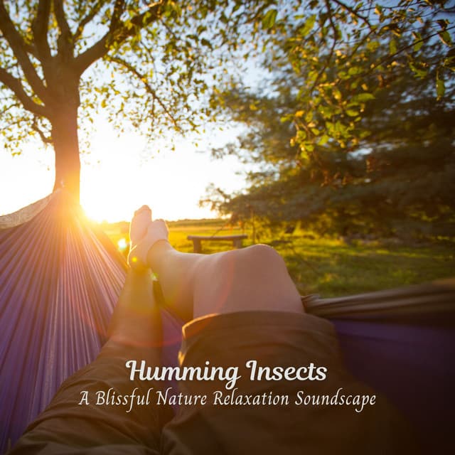 Humming Insects: A Blissful Nature Relaxation Soundscape - Nature Sounds Library