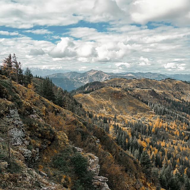 365 Nature Minded: Healing Worlds - Nature Sound Collection