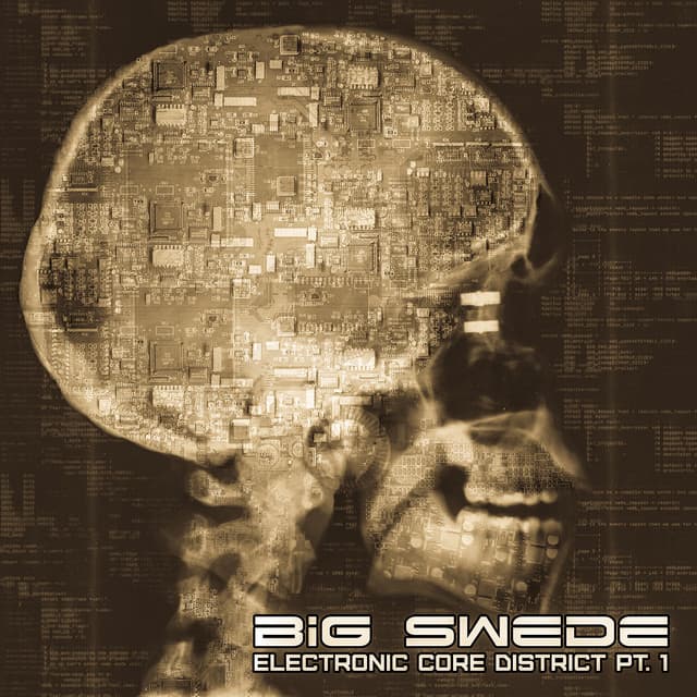 Electronic Core District, Pt.1 - Big Swede