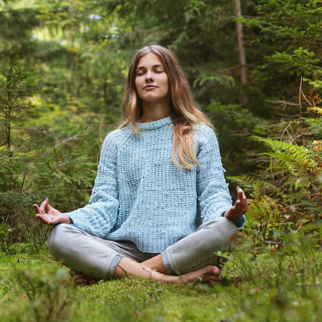 Ethereal Concentration: Nature's Influence with Birds and Owls - Birds Of The West