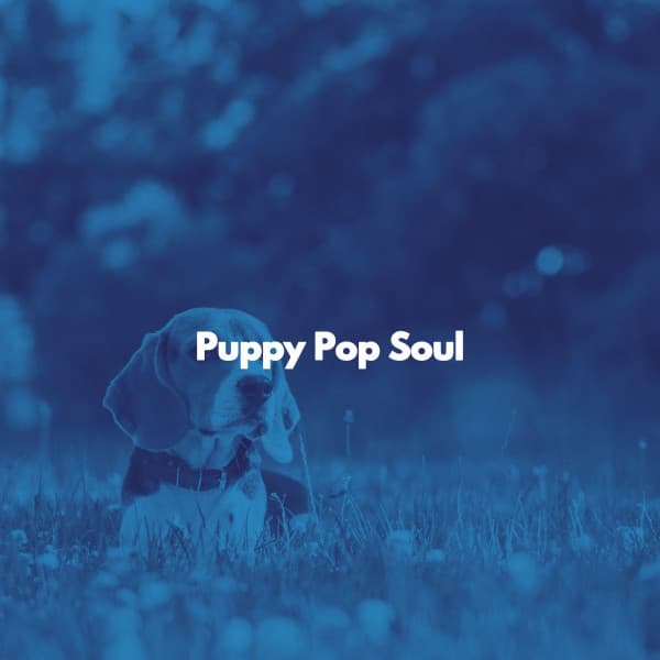 Puppy Pop Soul - Instrumental Chill Out Jazz
