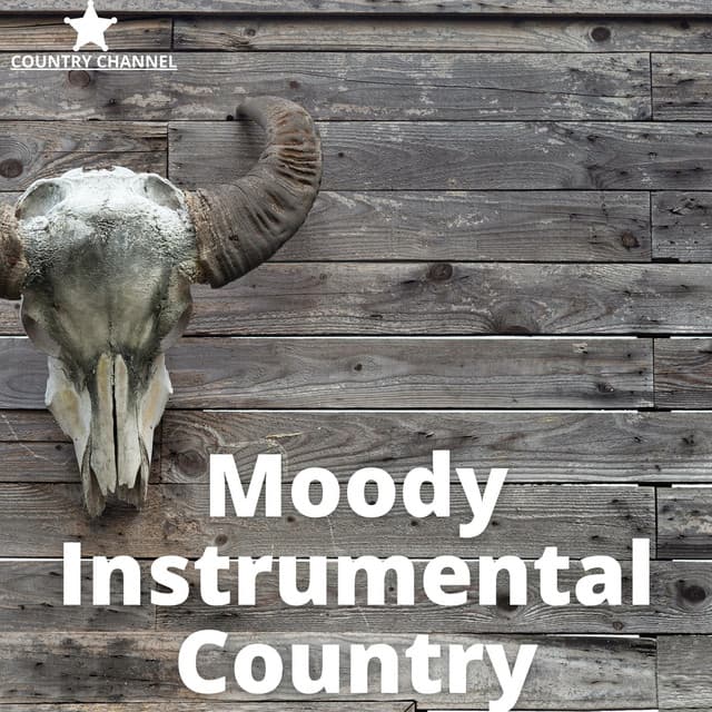 Moody Instrumental Country - Country Channel
