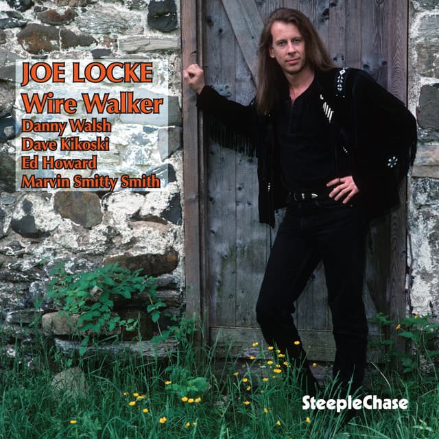 Wire Walker - Joe Locke