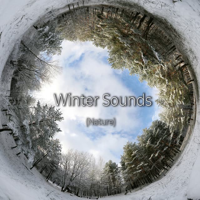 Winter Sounds - Better Sleep