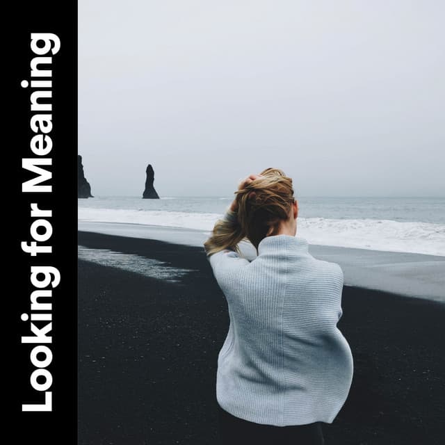 Looking for Meaning - Music Body and Spirit