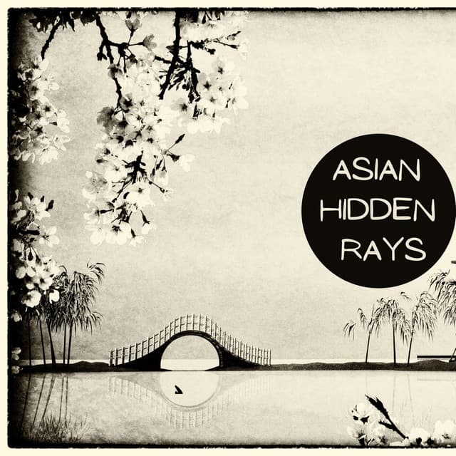 Asian Hidden Rays - Felix Stille