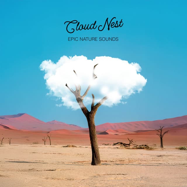 Cloud Nest - Epic Nature Sounds