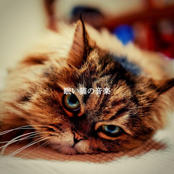 眠い猫の音楽 - Música para Cafeterías
