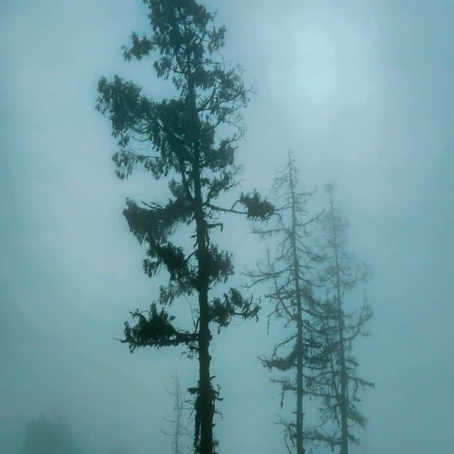 30 Day Dreamer: REM Vision - between waves