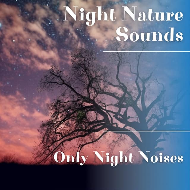Only Night Noises - Night Nature Sounds