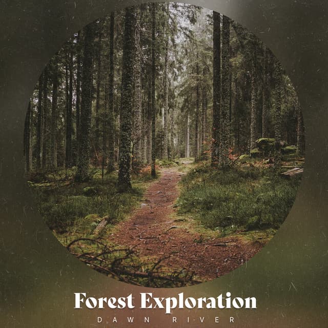 Forest Exploration - Dawn River
