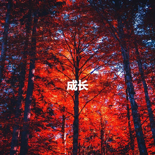 成长 - Sunday Evening Music