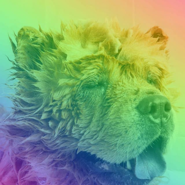 Hip Trio Jazz - Background for Puppy Fun - Puppy Music