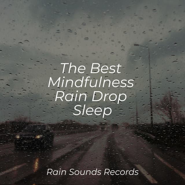 The Best Mindfulness Rain Drop Sleep - Natural Sounds
