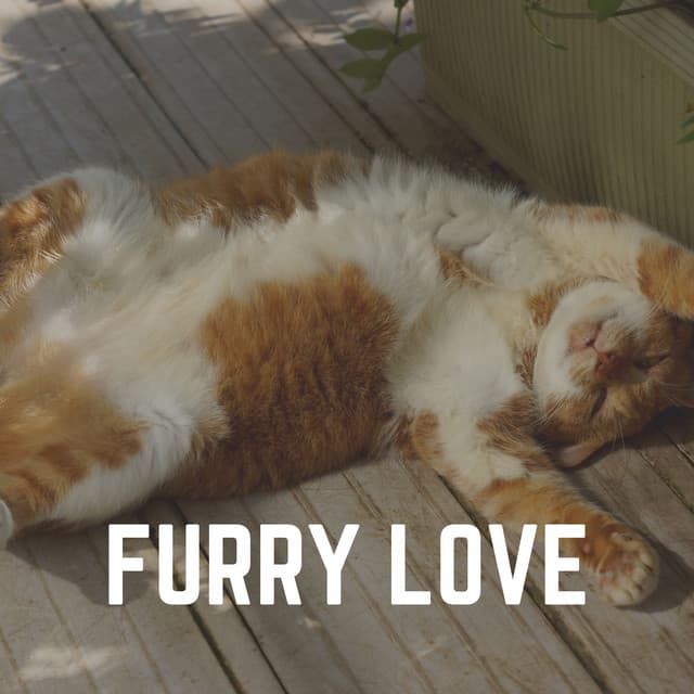 Furry Love - Music for Cats Peace
