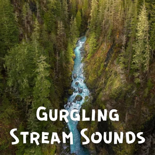 Yoga Music Playlists For Yoga Class