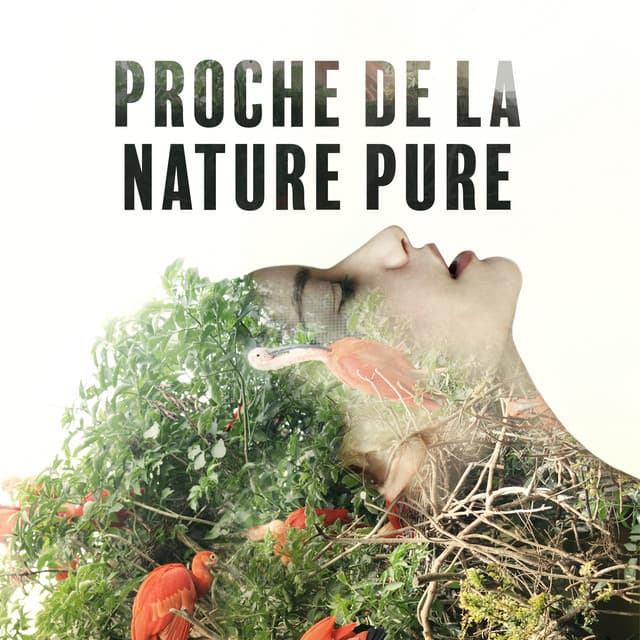 Proche de la nature pure: Sons apaisants pour dormir et se détendre - Musique Coeur de la Nature