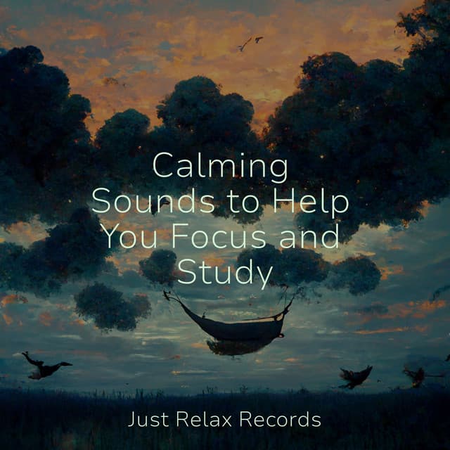 Calming Sounds to Help You Focus and Study - Musica Romantica Ensemble