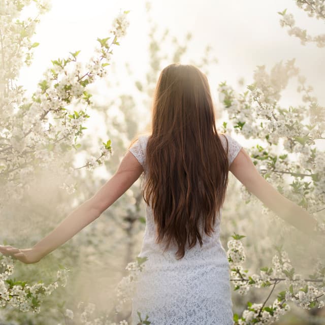 Ethereal Tunes Amidst Nature's Embrace - Haylox