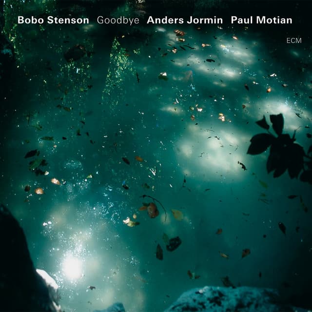 Goodbye - Bobo Stenson