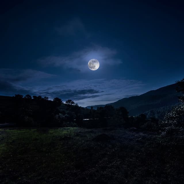 Dreamtime Harmonies: Soft Sounds for a Quiet Night - Brainwave Mind Voyages