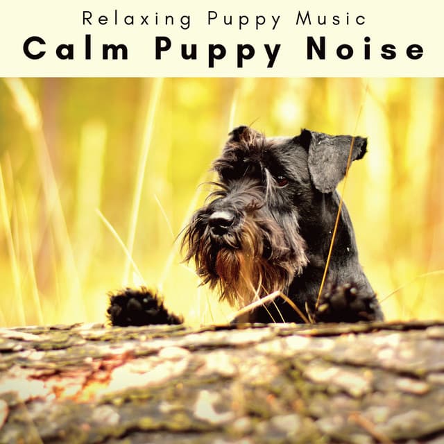 1 Calm Puppy Noise - Relaxing Puppy Music
