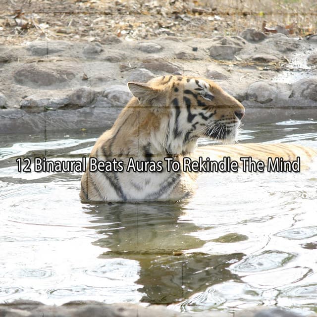 12 Binaural Beats Auras To Rekindle The Mind - Binaural Institute