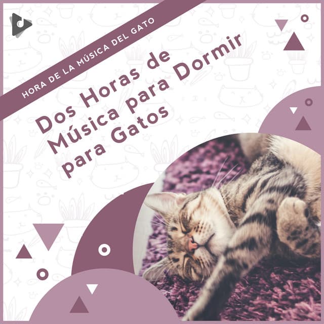 Música Relajante para Gatos