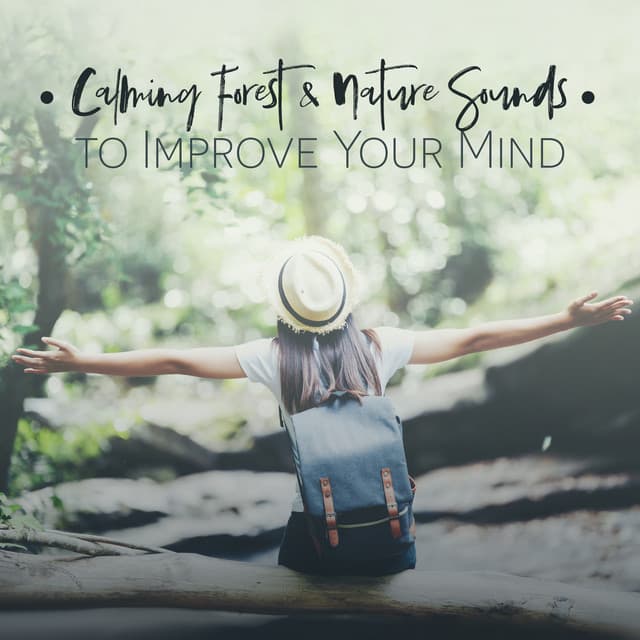 Calming Forest & Nature Sounds to Improve Your Mind : Music for Stressed & Thinking Too Much - Exotic Power Maker