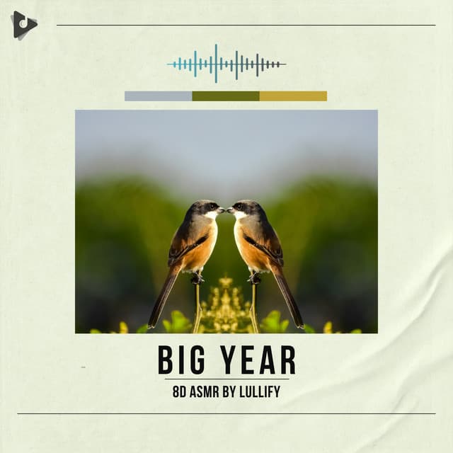 Big Year - 8D ASMR by Lullify