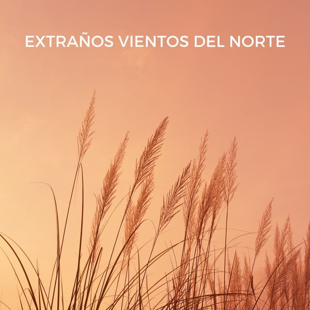Extraños Vientos Del Norte - Las Vientas